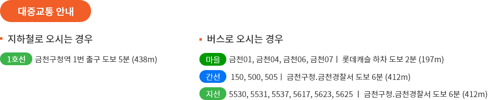 대중교통