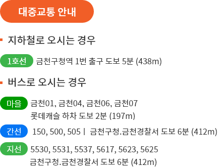 대중교통